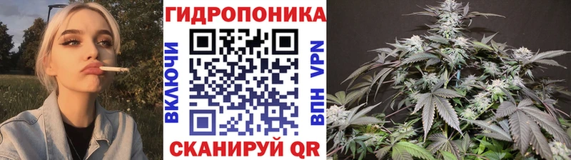 Бошки марихуана индика Шлиссельбург